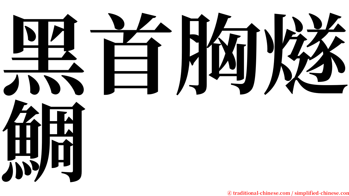 黑首胸燧鯛 serif font