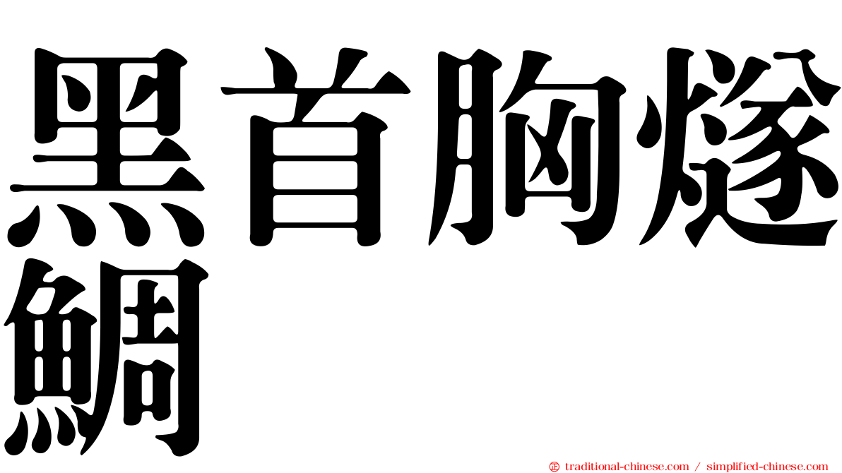 黑首胸燧鯛