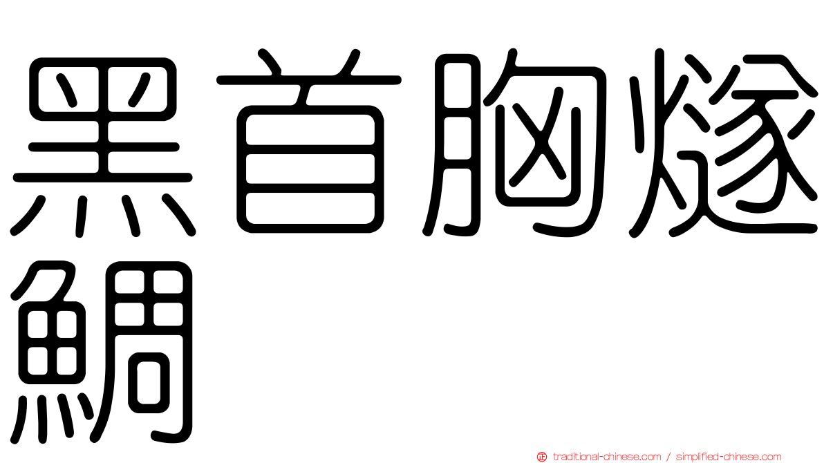 黑首胸燧鯛
