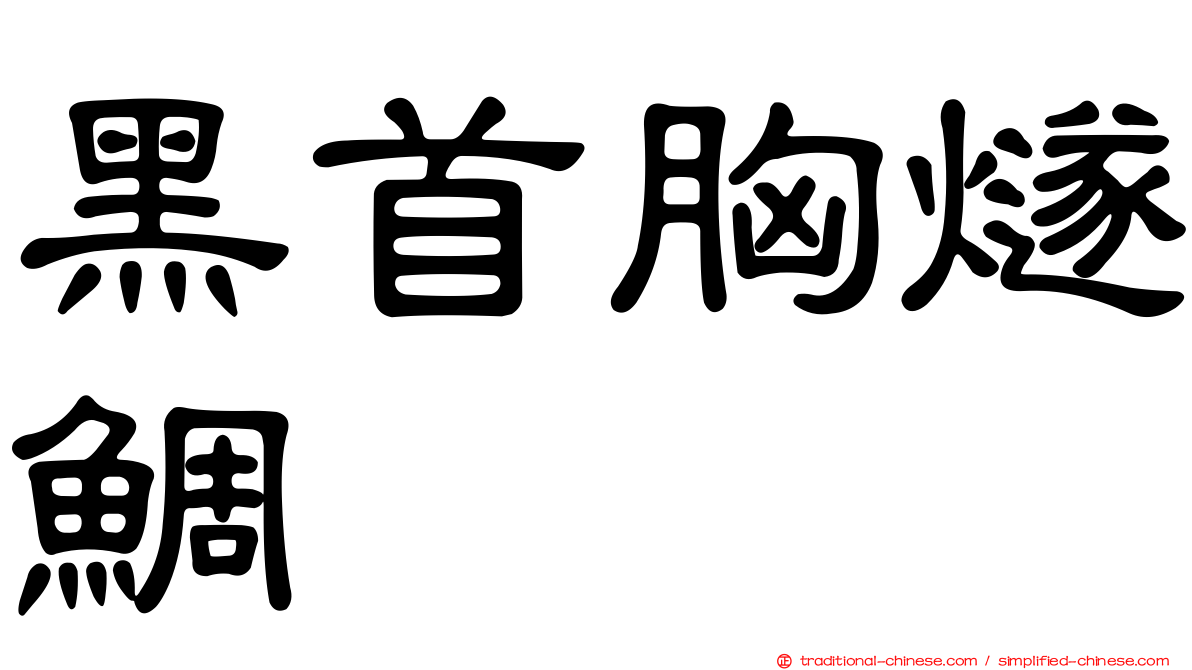 黑首胸燧鯛