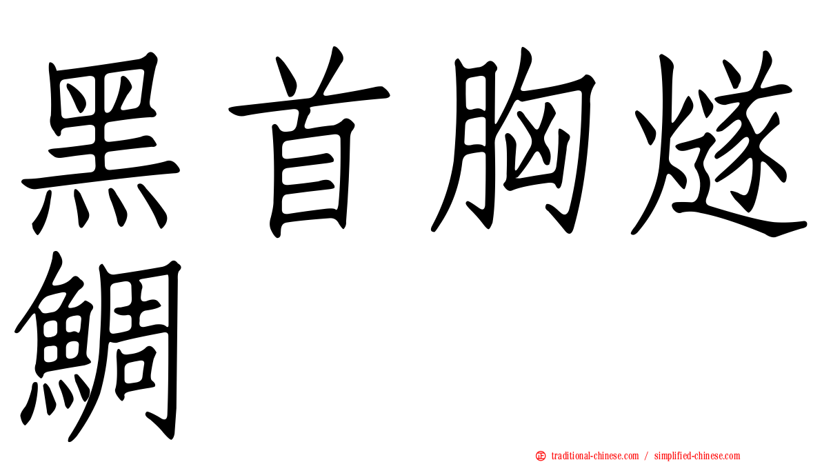 黑首胸燧鯛