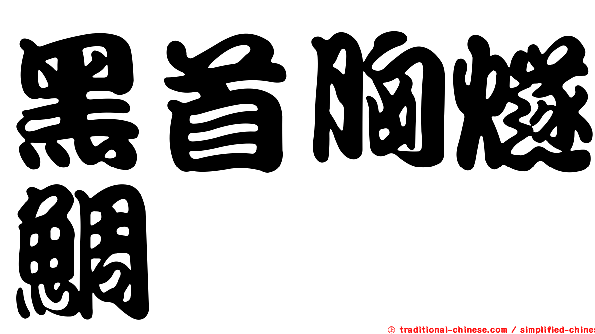 黑首胸燧鯛