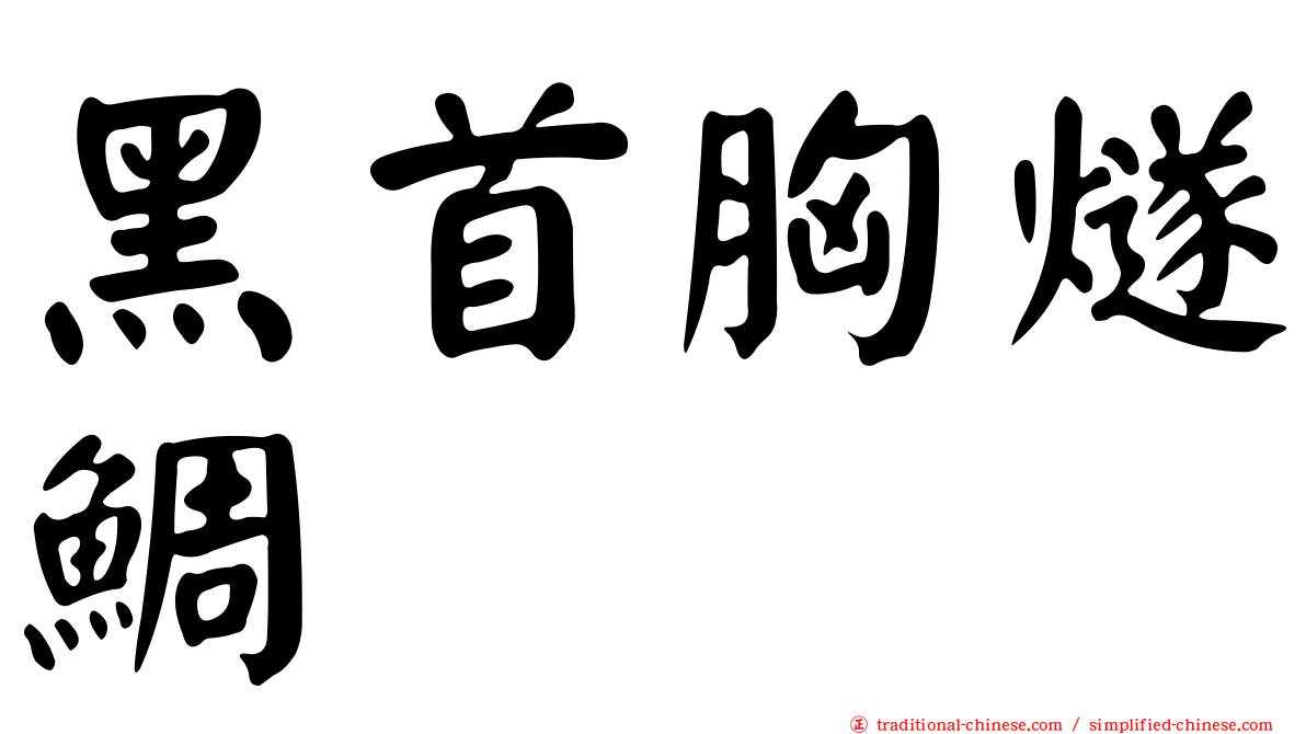 黑首胸燧鯛