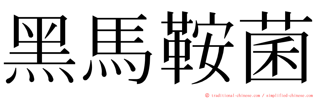 黑馬鞍菌 ming font