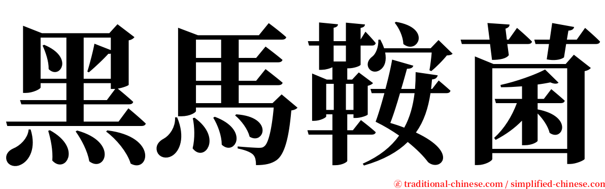 黑馬鞍菌 serif font