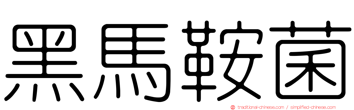 黑馬鞍菌