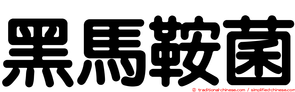黑馬鞍菌
