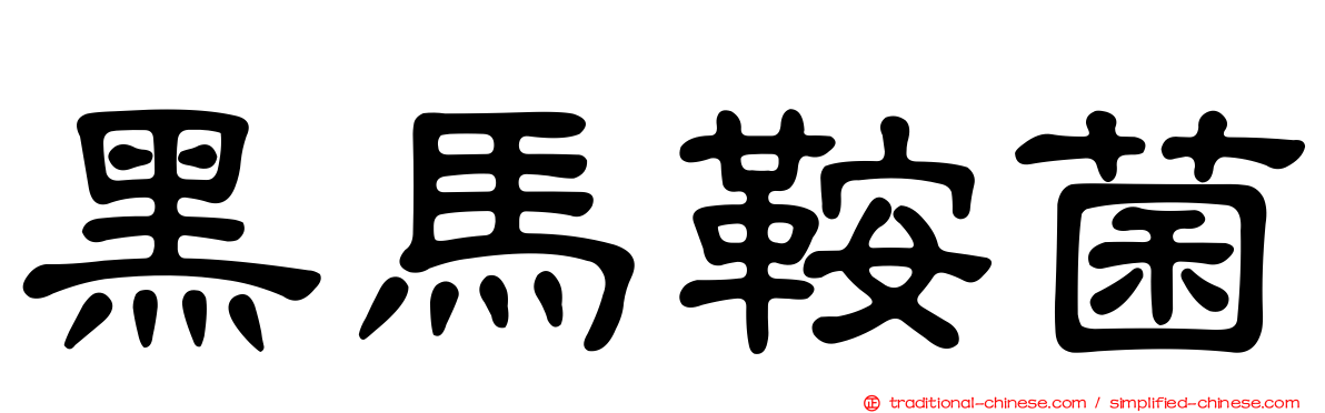 黑馬鞍菌