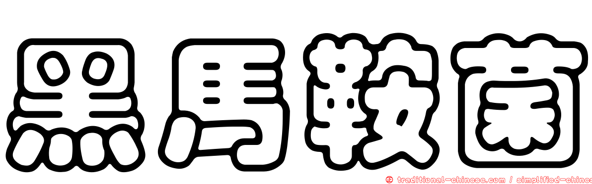 黑馬鞍菌
