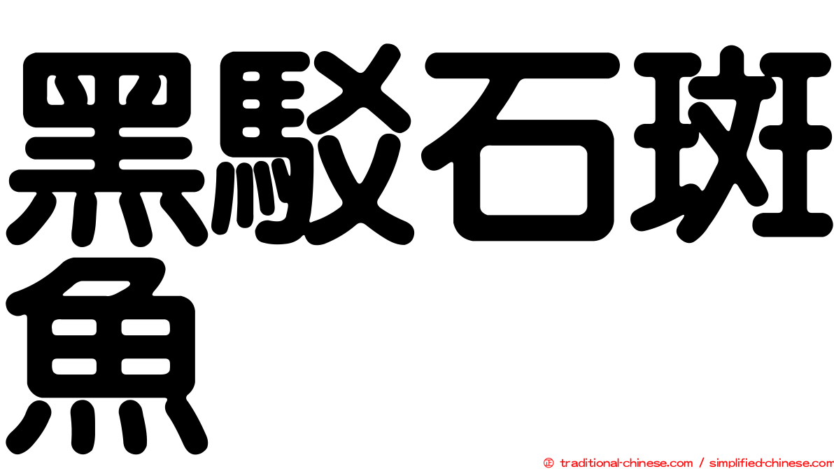 黑駁石斑魚