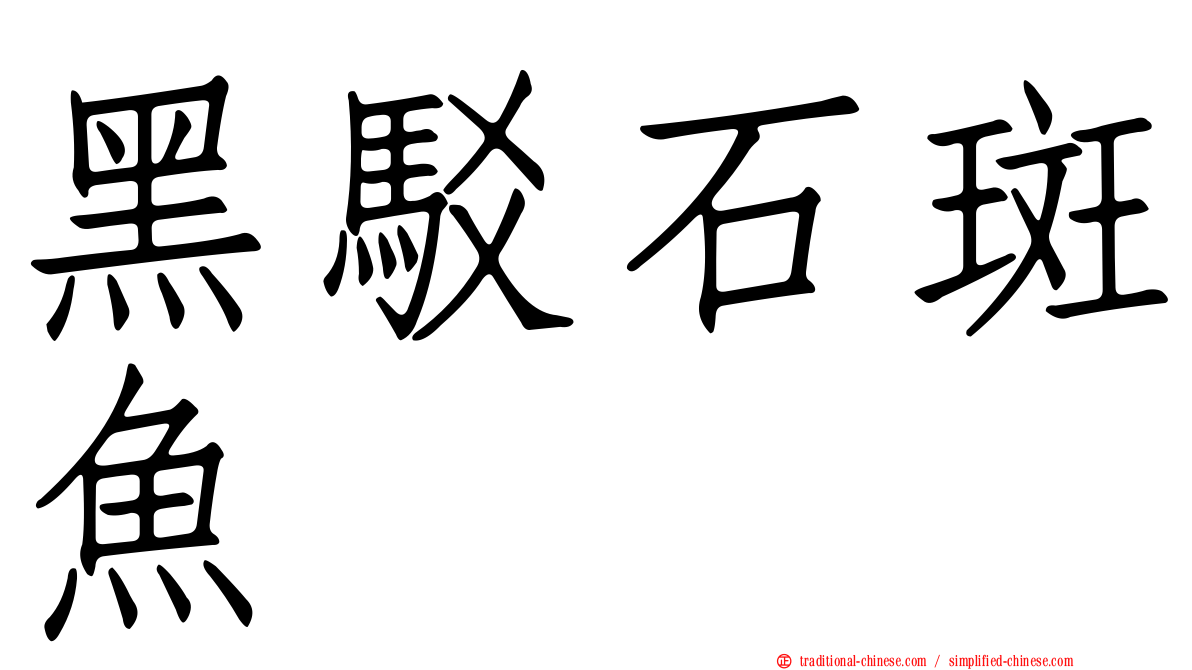 黑駁石斑魚