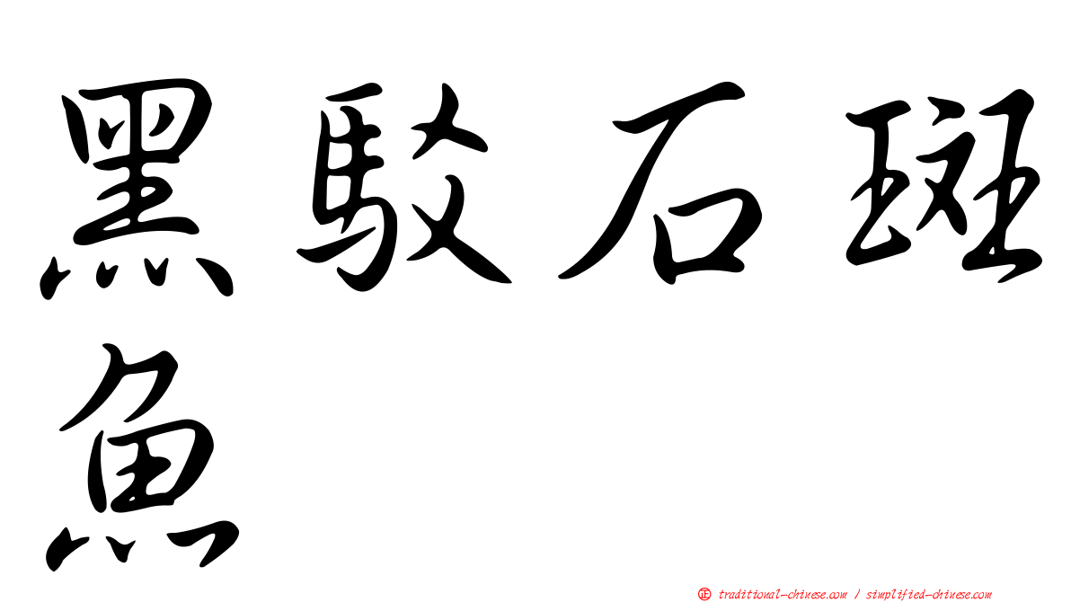 黑駁石斑魚