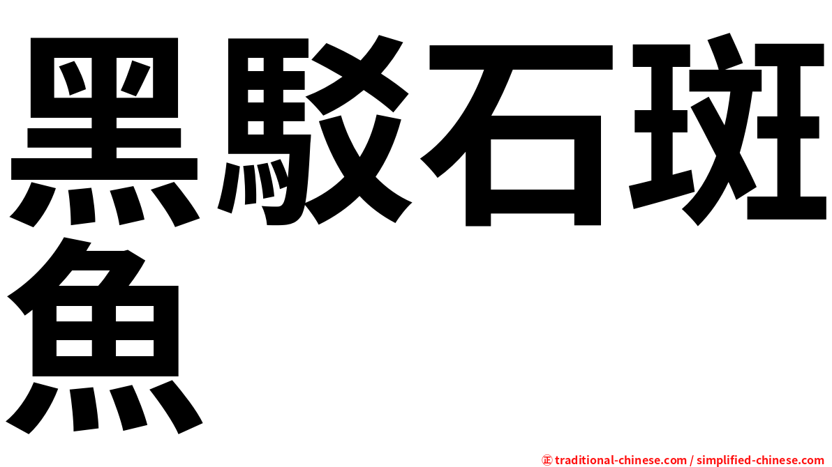 黑駁石斑魚