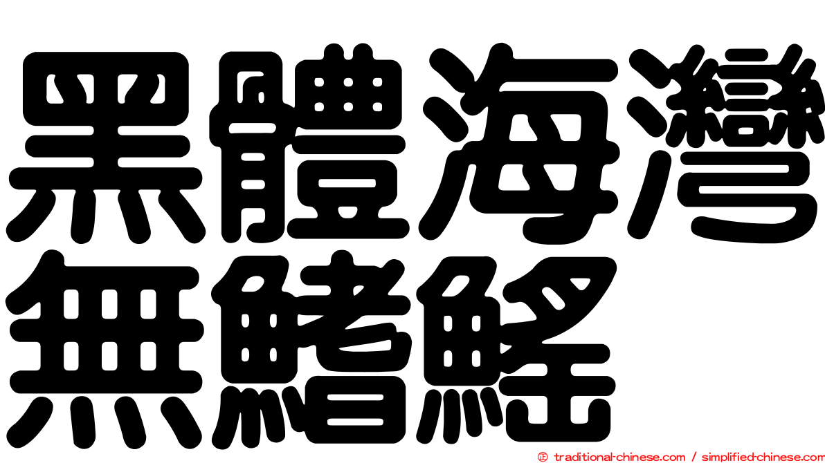 黑體海灣無鰭鰩
