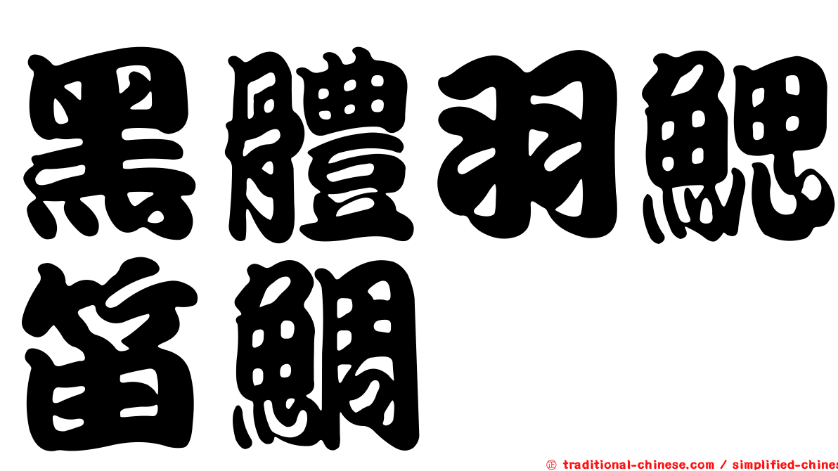 黑體羽鰓笛鯛