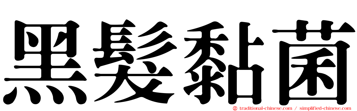 黑髮黏菌