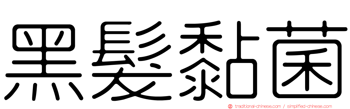 黑髮黏菌