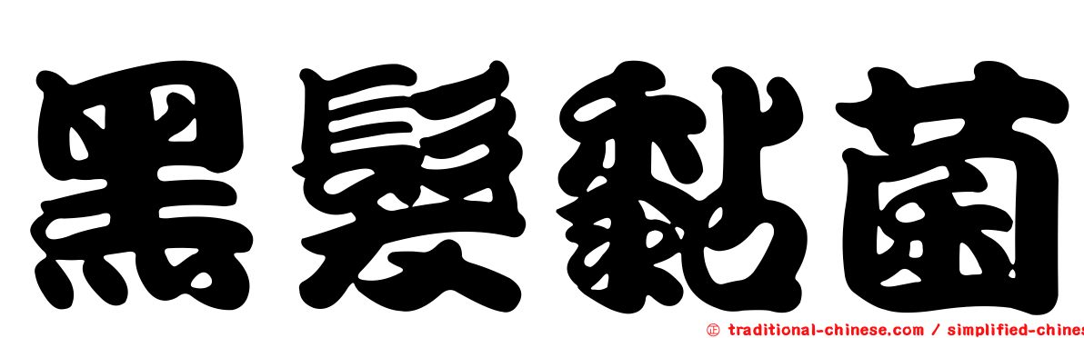 黑髮黏菌