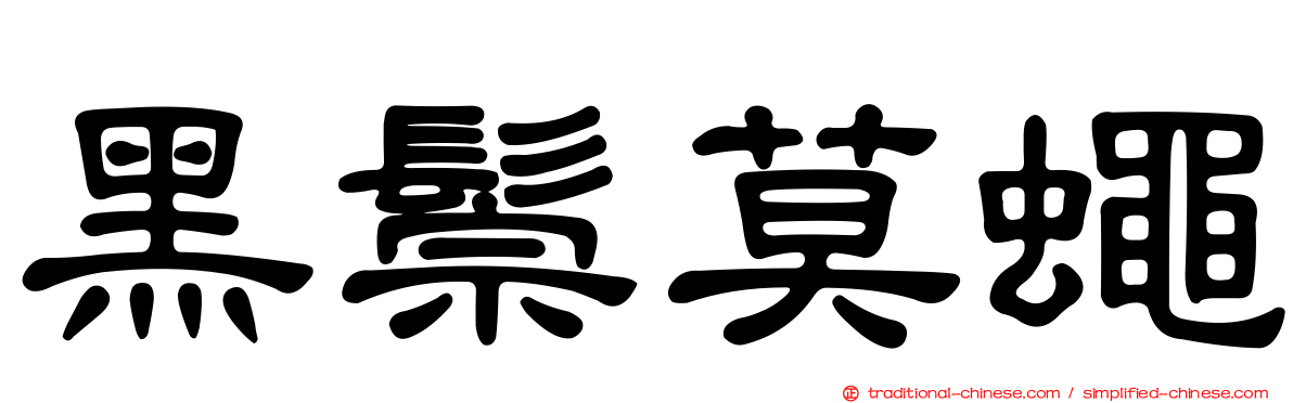 黑鬃莫蠅
