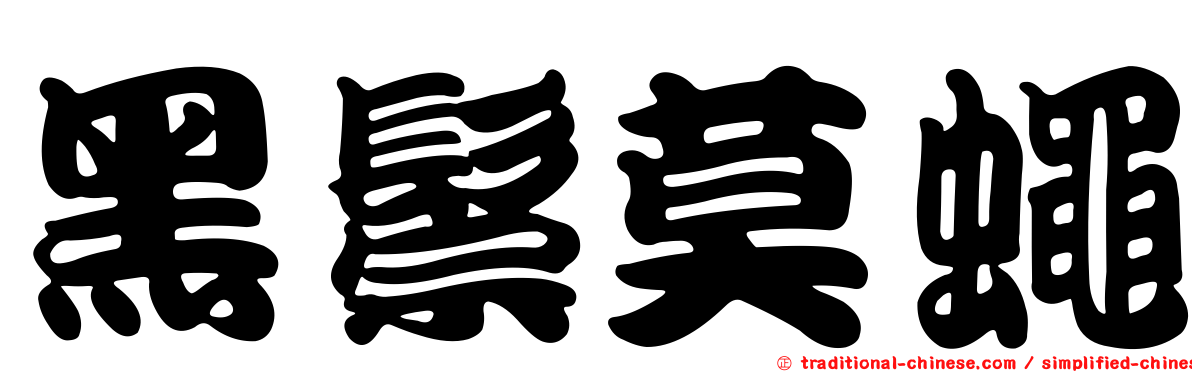 黑鬃莫蠅