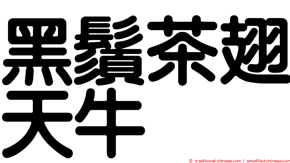 黑鬚茶翅天牛