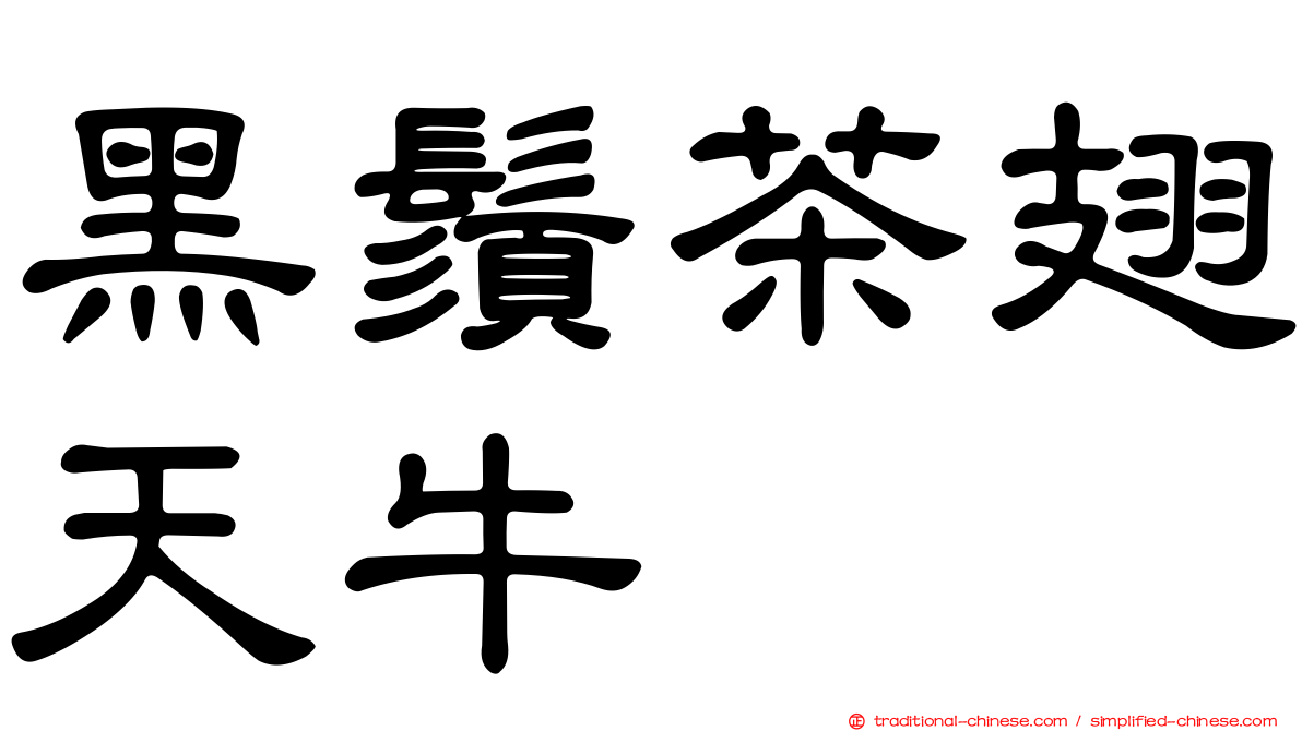 黑鬚茶翅天牛