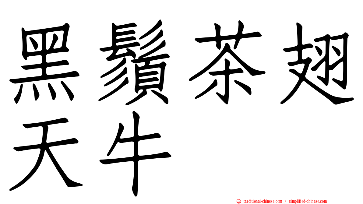 黑鬚茶翅天牛