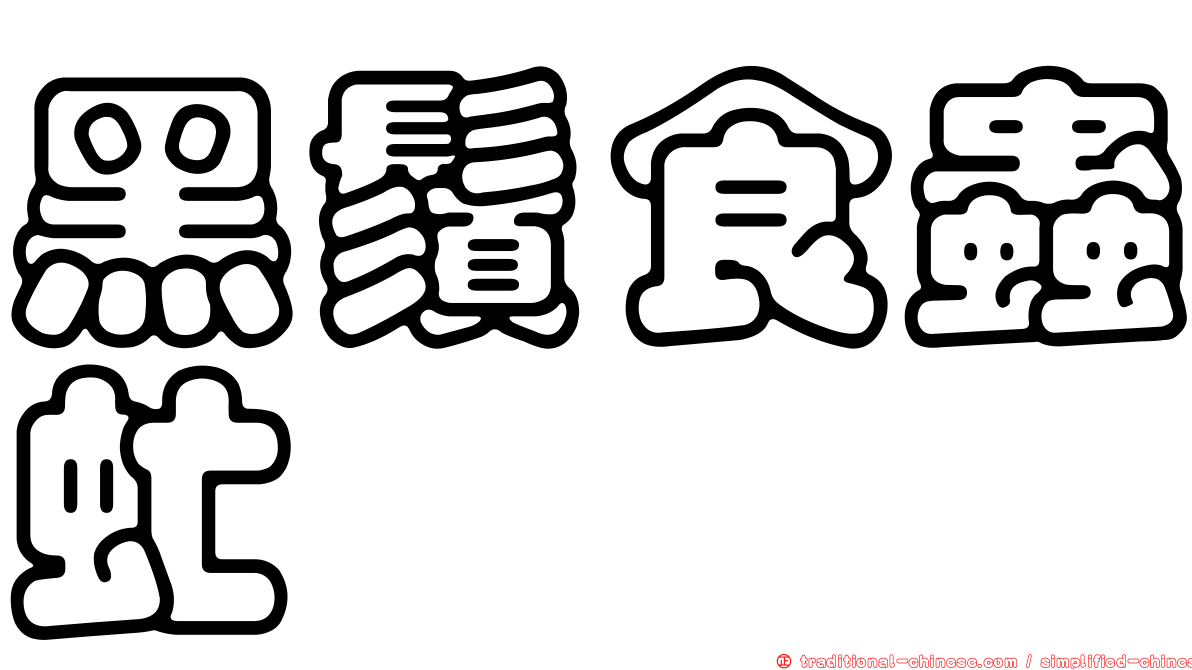黑鬚食蟲虻
