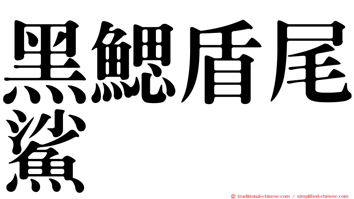 黑鰓盾尾鯊