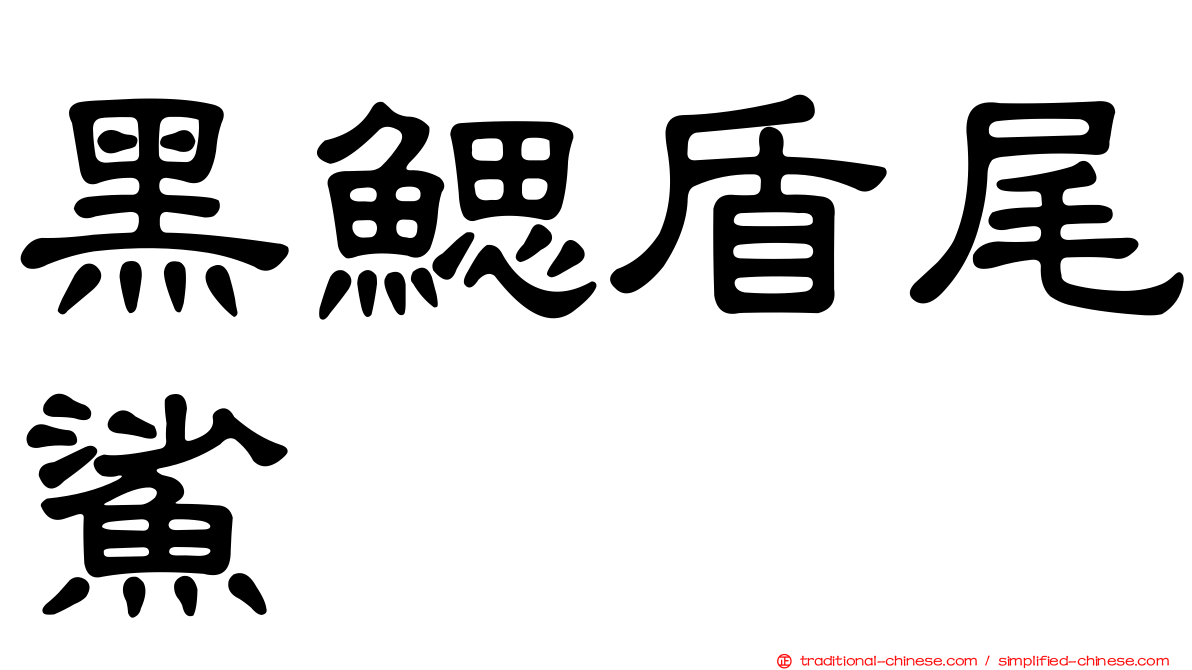黑鰓盾尾鯊