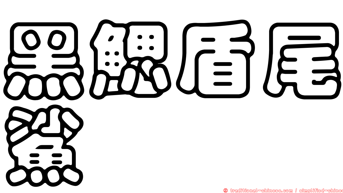 黑鰓盾尾鯊