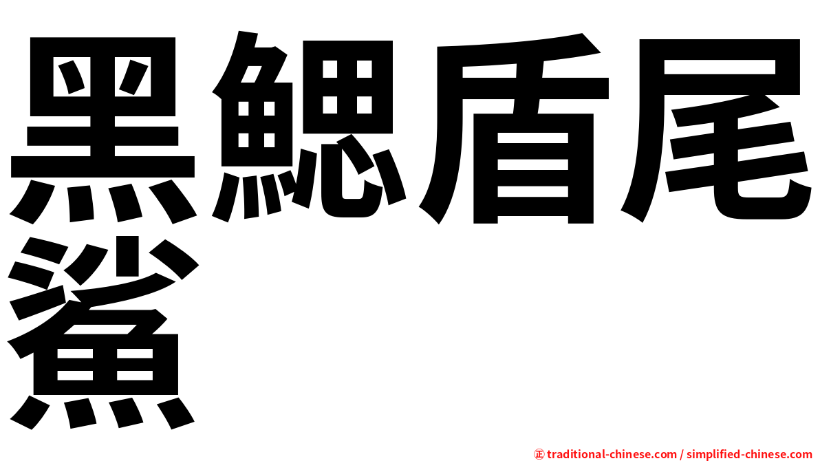 黑鰓盾尾鯊