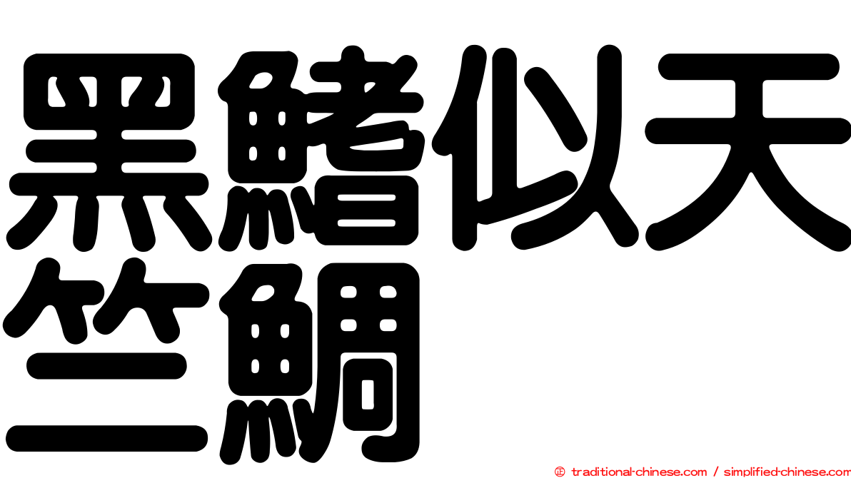 黑鰭似天竺鯛