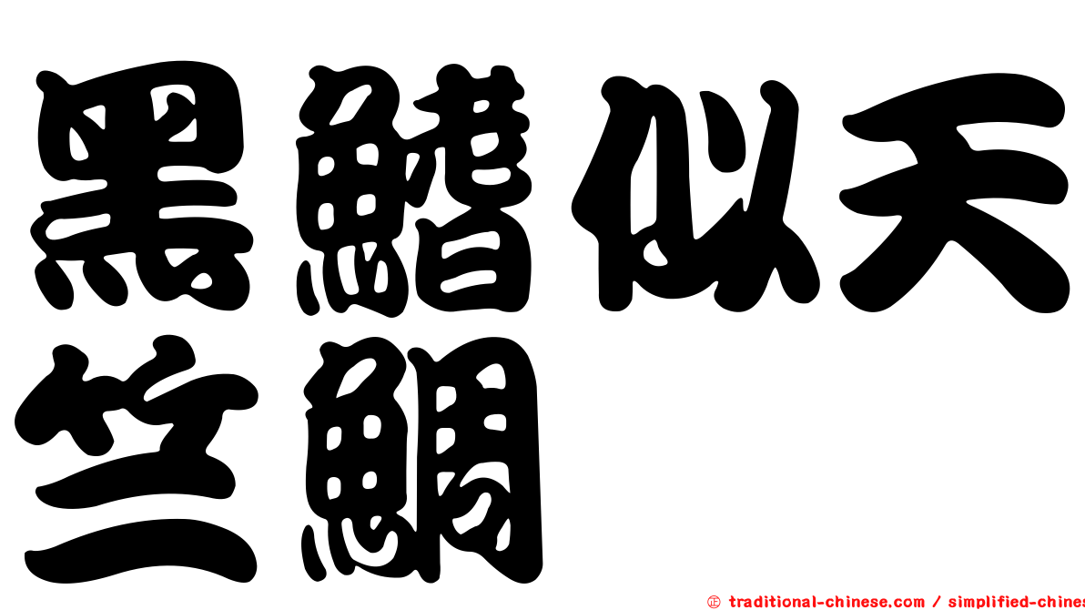 黑鰭似天竺鯛