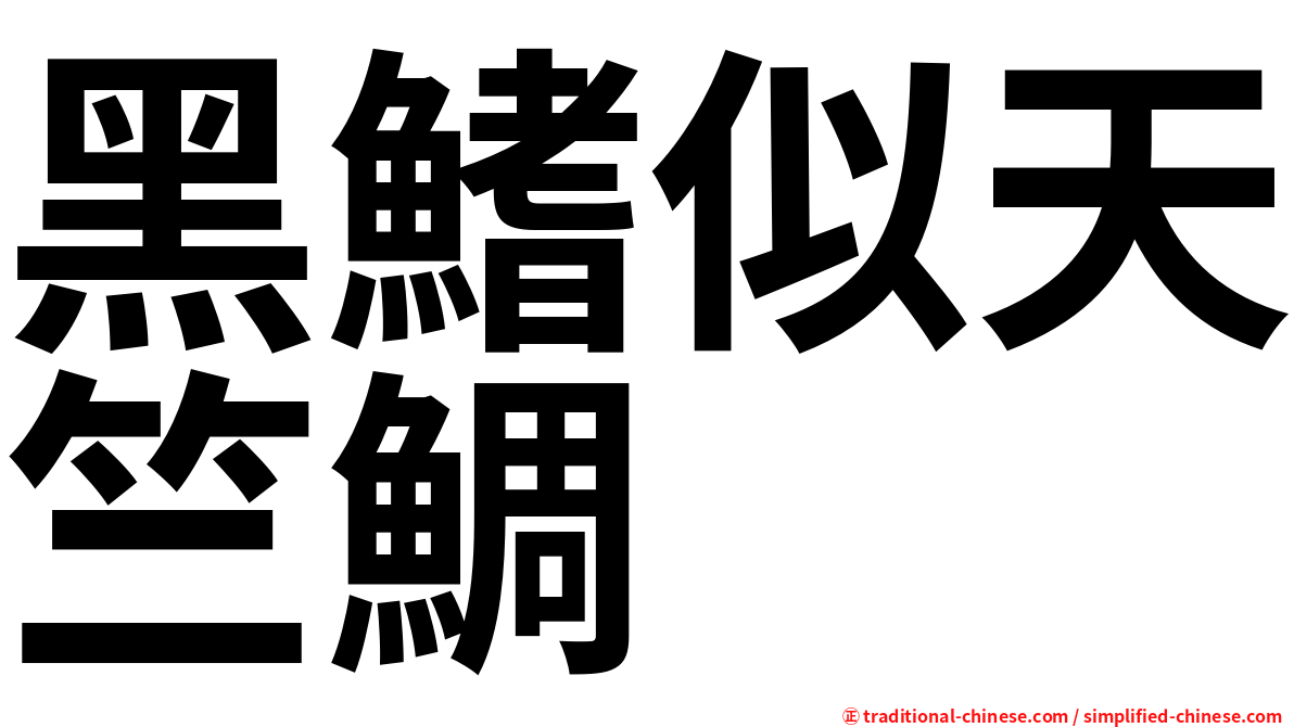 黑鰭似天竺鯛