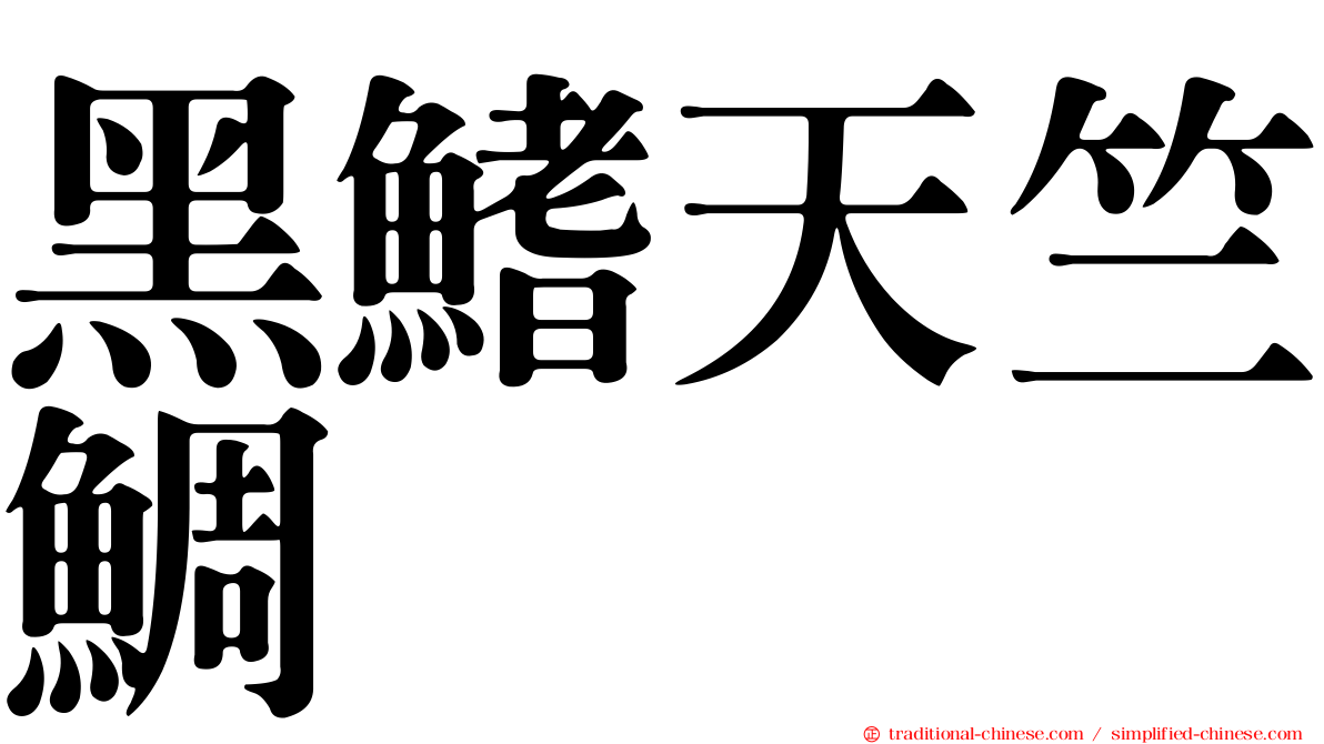 黑鰭天竺鯛