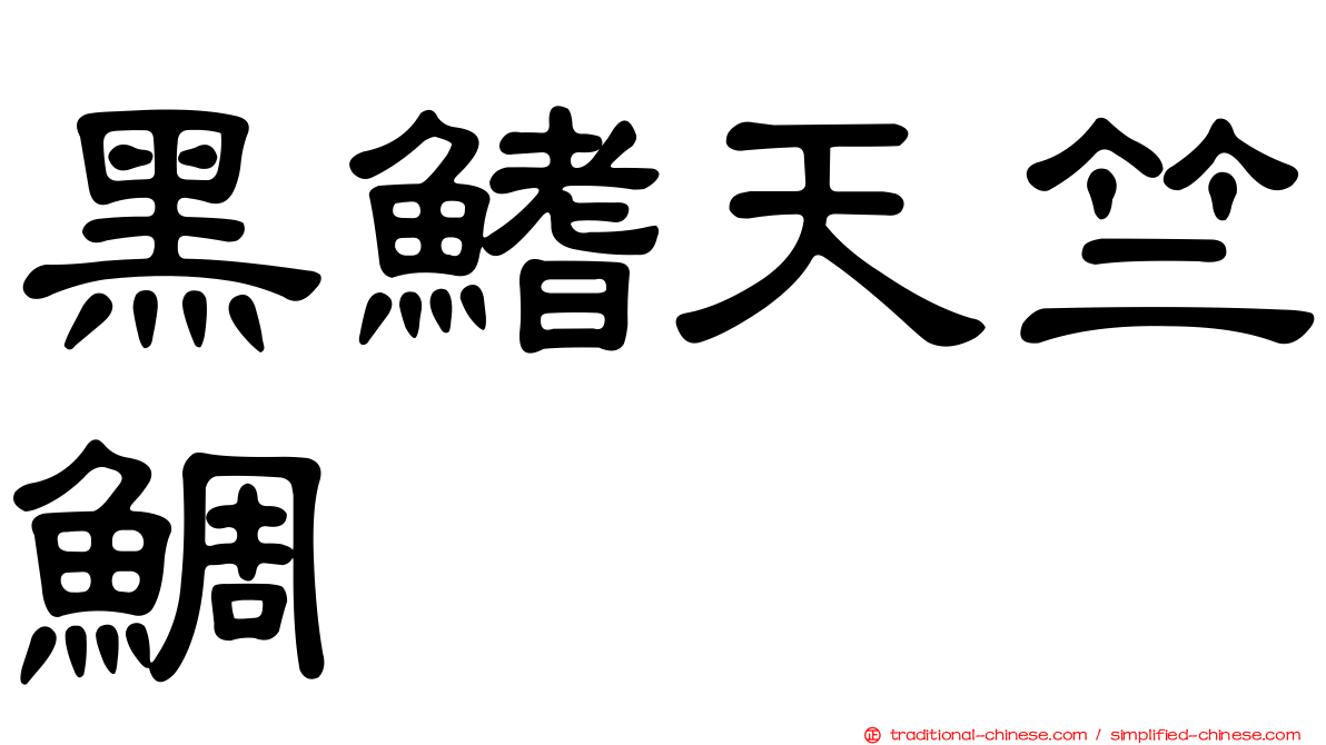 黑鰭天竺鯛