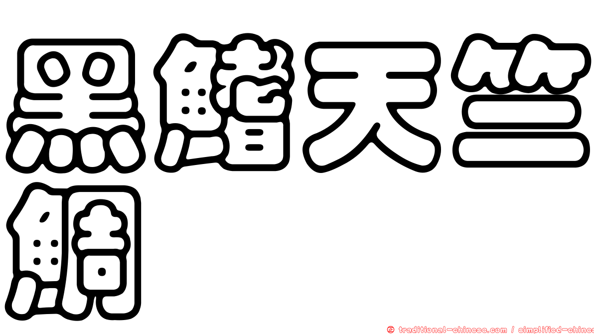 黑鰭天竺鯛