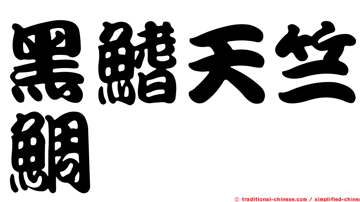 黑鰭天竺鯛