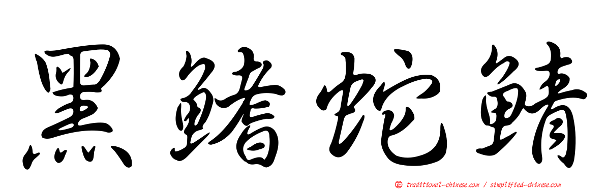 黑鰭蛇鯖
