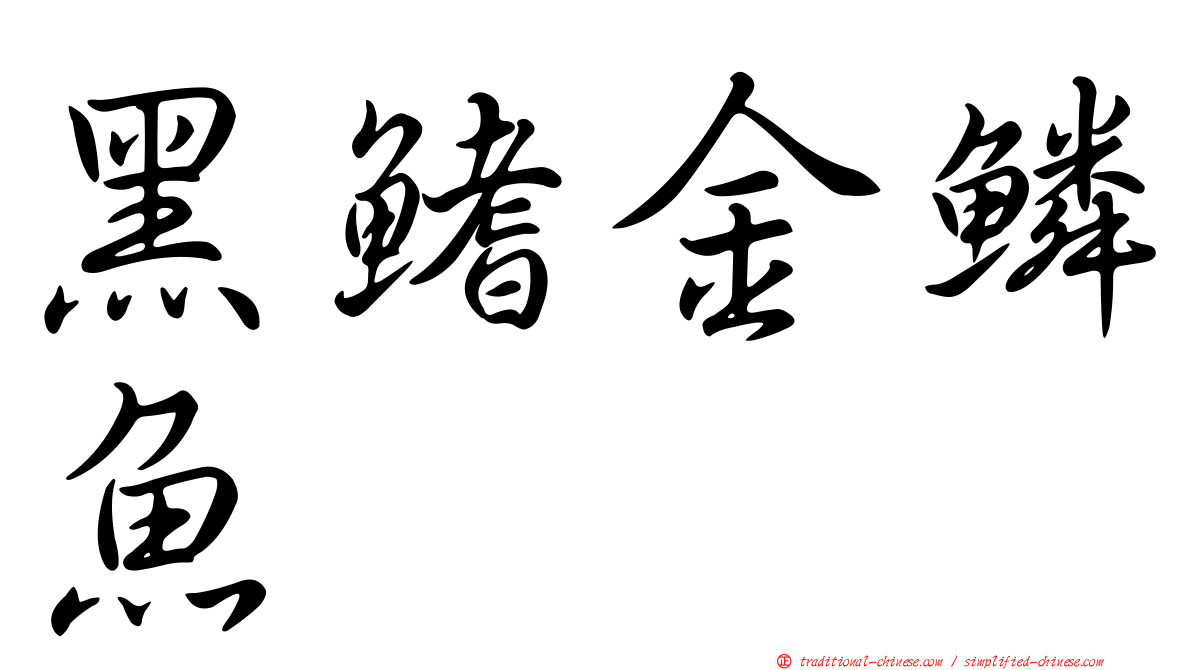 黑鰭金鱗魚