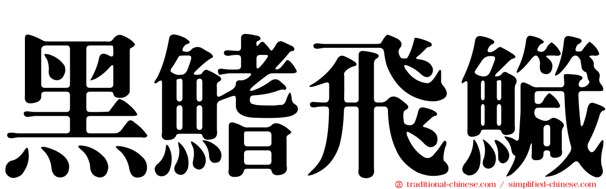 黑鰭飛鱵