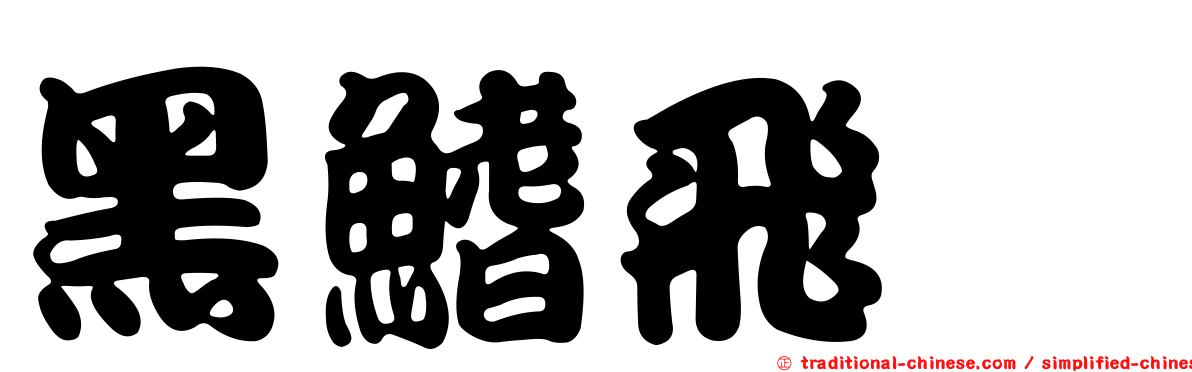 黑鰭飛鱵