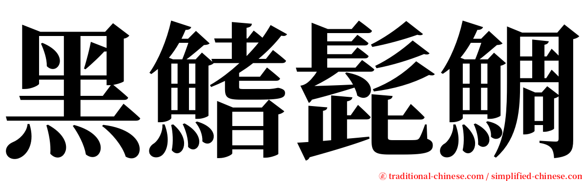 黑鰭髭鯛 serif font