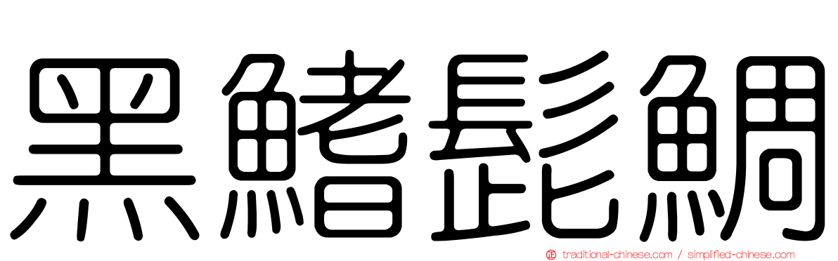 黑鰭髭鯛