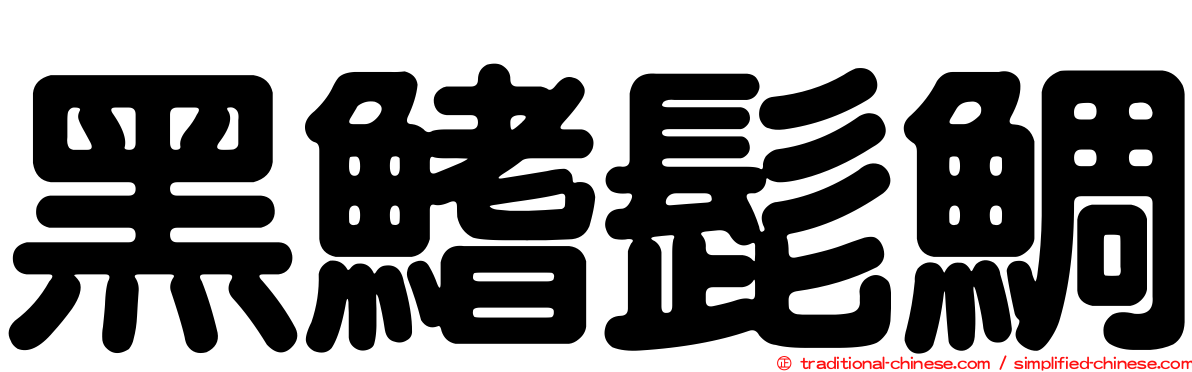 黑鰭髭鯛