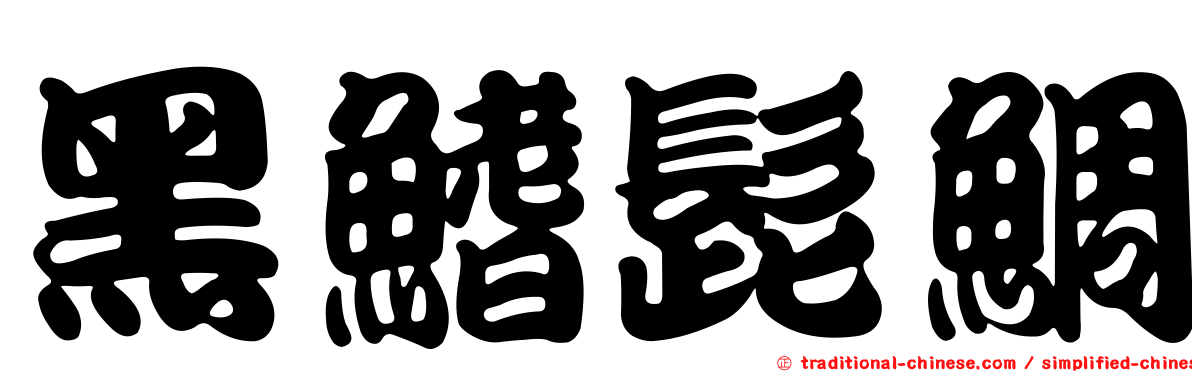 黑鰭髭鯛