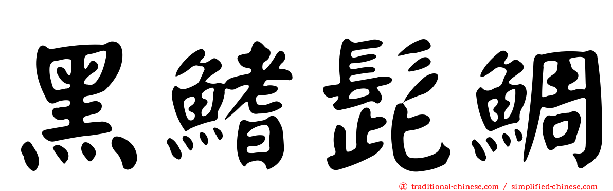 黑鰭髭鯛