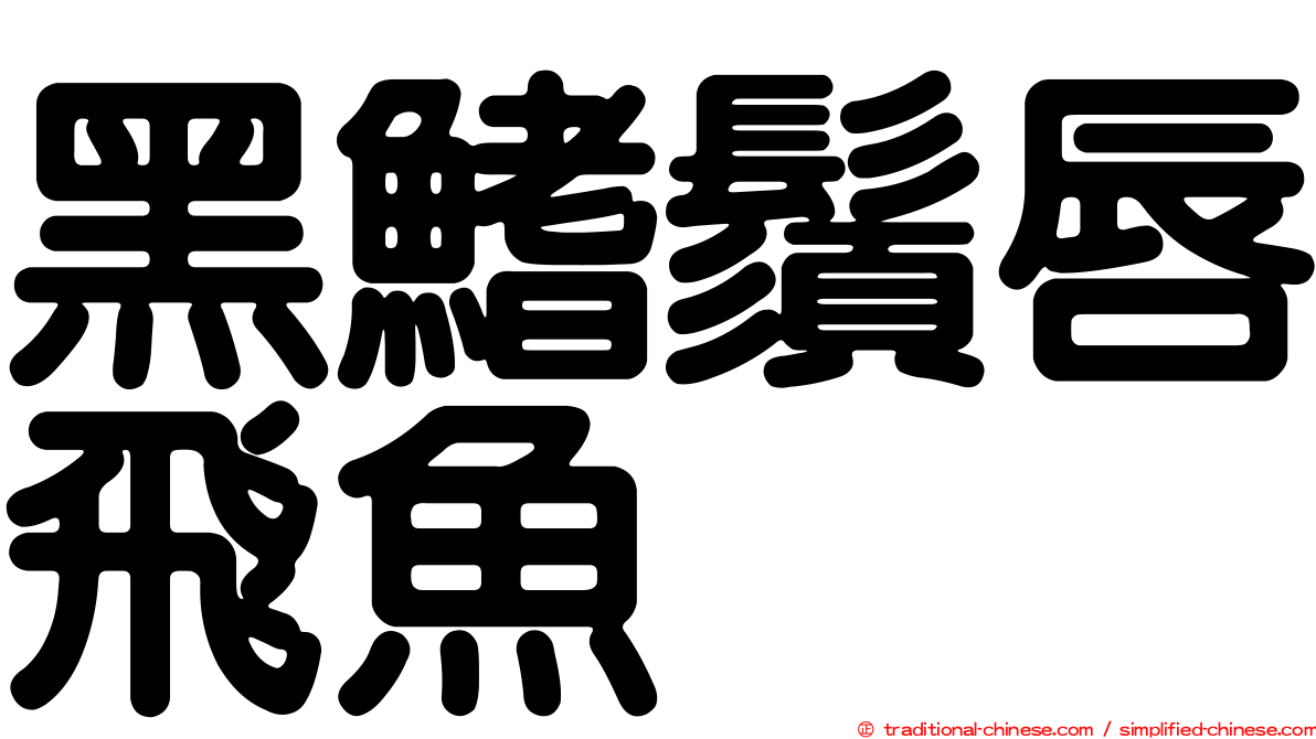 黑鰭鬚唇飛魚