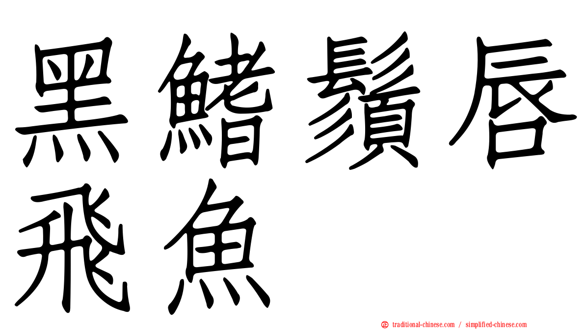 黑鰭鬚唇飛魚